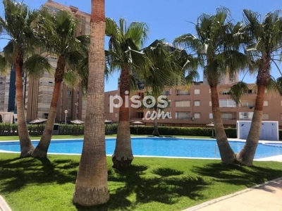 Piso en alquiler en La Pobla de Farnals en Playa La Pobla de Farnals por 900 €/mes