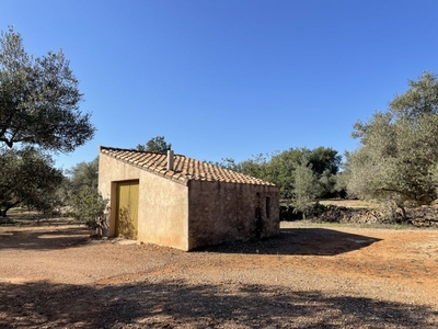 L'Aldea casa de campo en venta