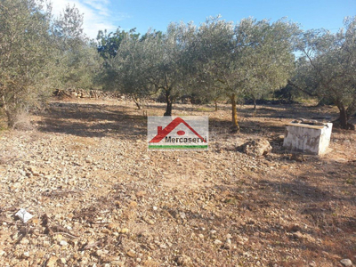 Country property for sale in Alcanar