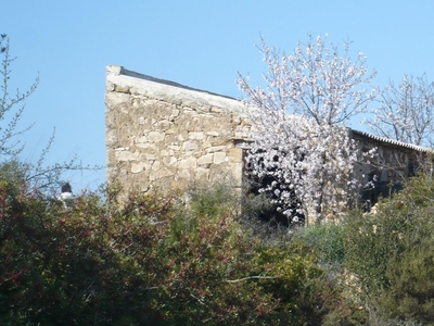 Finca en venta en Batea