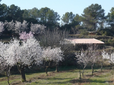 Finca en venta en Caseres