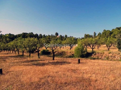 Finca en venta en Horta de Sant Joan