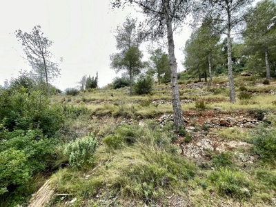 Country property for sale in La Bisbal del Penedès