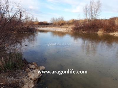 Finca en venta en Maella