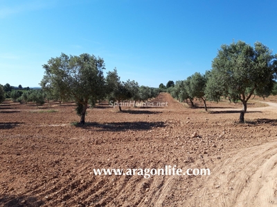 Finca en venta en Maella