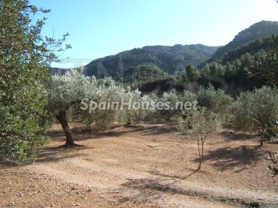 Finca en venta en Paüls