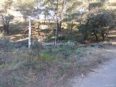 Finca en venta en Riudecanyes