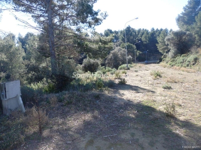 Finca en venta en Riudecanyes