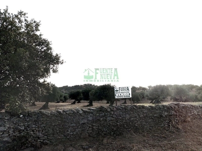 Country property for sale in Segura de León