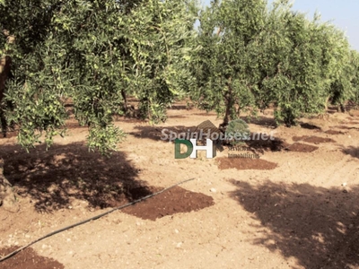 Solar en venta en Badajoz