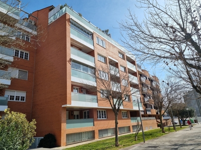 Alquiler de piso con piscina y terraza en los olivos (Huesca)