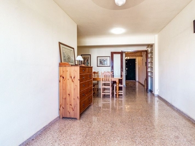 Alquiler piso de 4 habitaciones en alquiler en el barrio de Malilla *disponible para marzo en Valencia