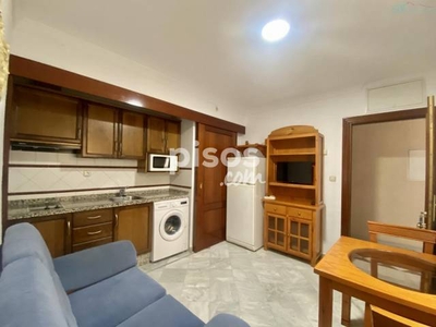 Apartamento en alquiler en Calle Gran Vía de Colón, 31, cerca de Calle de Arteaga