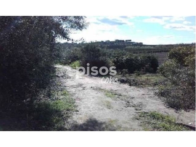 Finca rústica en venta en Calle La Botija, Polígono 1