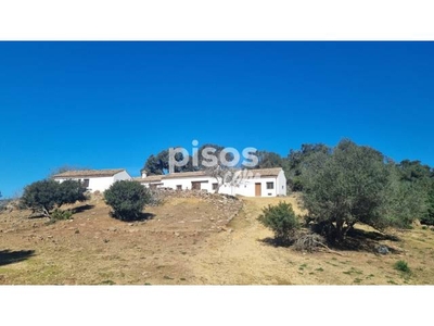 Finca rústica en venta en Castellar de la Frontera