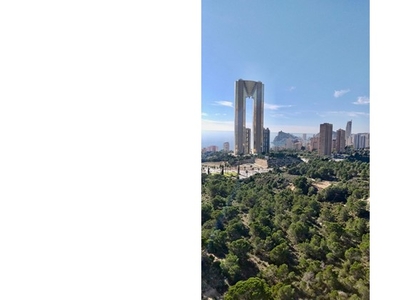 SE VENDE UN PISO EN VIA PARQUE, BENIDORM