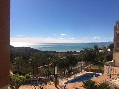 Alquiler de piso en Les Platgetes - Torre Bellver - La Renegà de 3 habitaciones con terraza y piscina