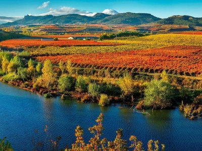 Alquiler Integro en La Rioja