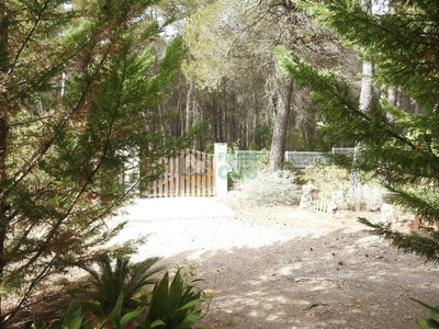 Casa de campo en venta con 3.200 m2 terreno llano situada en un lugar verde, tranquilo no solitario en la comarca del alt camp. en Pontons