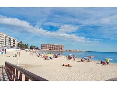 Primera linea de playa de los locos