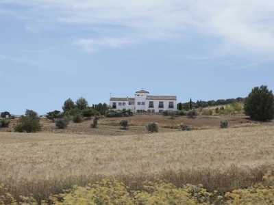 Habitaciones en Málaga