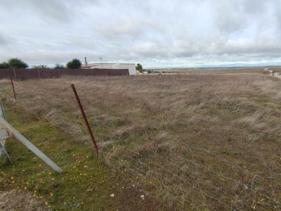 Finca Rústica en Venta en Urbanización El Majón Cáceres, Cáceres