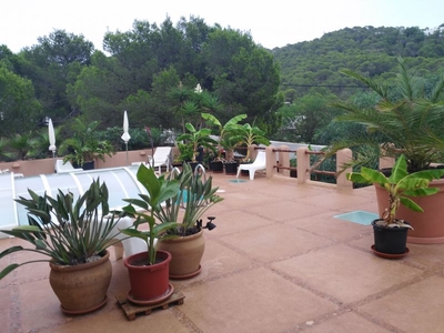 Alquiler de ático con piscina en Ibiza