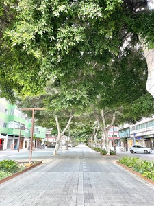 Alquiler de piso en Santa Catalina (Las Palmas G. Canaria)