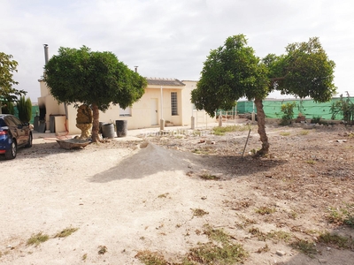 Finca en venta en Buenavista, Guardamar del Segura