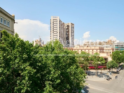 Piso sensacional y luminoso inmueble a actualizar al lado del paseo sant joan. en Barcelona