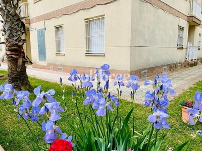 Alquiler de piso en Sant Pere Pescador de 1 habitación con aire acondicionado y calefacción