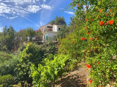 Finca/Casa Rural en venta en Alora, Málaga