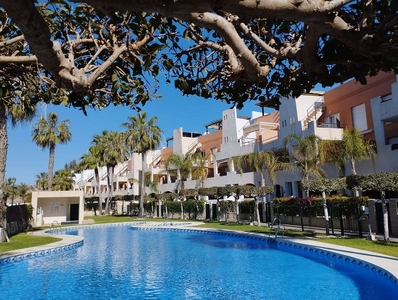 Ático en alquiler en avenida Islas Canarias de 2 habitaciones con terraza y piscina