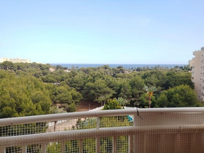 Venta de piso en Campos de Golf - Villa Martin - Los Dolses de 1 habitación con terraza y piscina