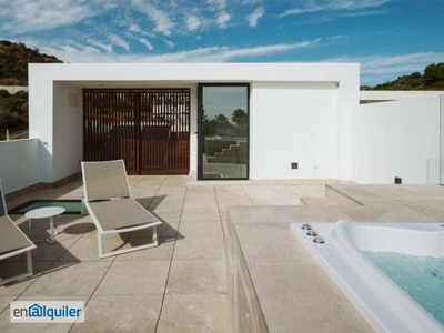 Alquiler casa piscina Nueva andalucía