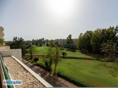 Alquiler piso piscina San pedro de alcántara