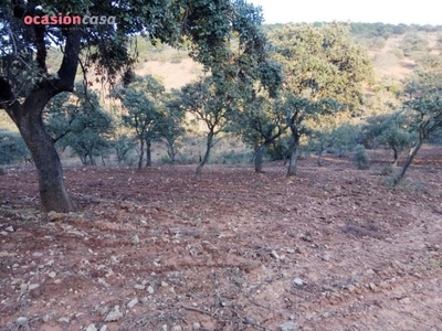 Chalet en Villanueva del Duque