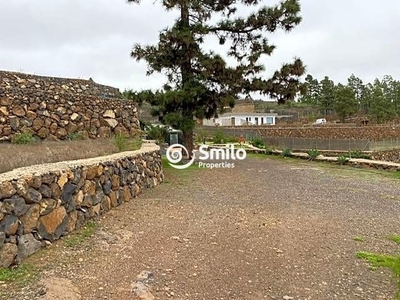 Finca/Casa Rural en venta en San Miguel de Abona, Tenerife