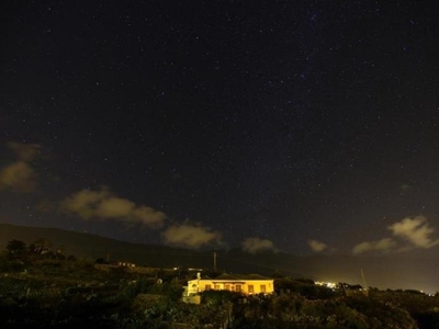 Alquiler Integro en La Palma