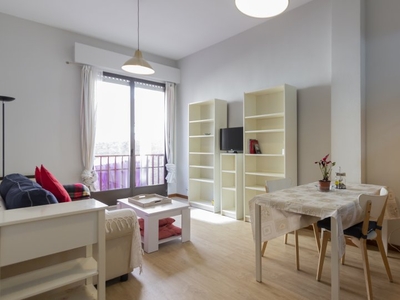 Amplio apartamento de 1 dormitorio en alquiler en Trafalgar, Madrid