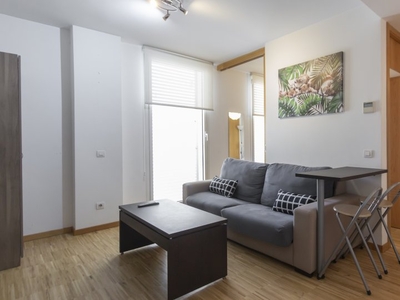 apartamento de 1 dormitorio en alquiler en el centro de Madrid