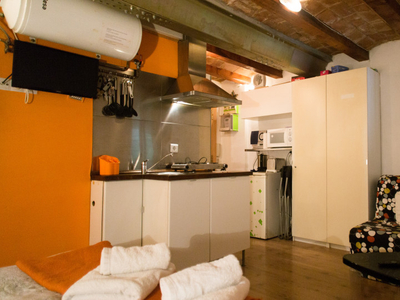 Estudio con aire acondicionado en alquiler en Poble Sec, Barcelona