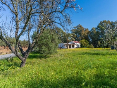 Finca rústica en venta en Arroyo Puerco, Gibraleón