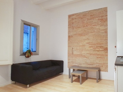 Moderno apartamento de 1 dormitorio en alquiler en El Raval, Barcelona