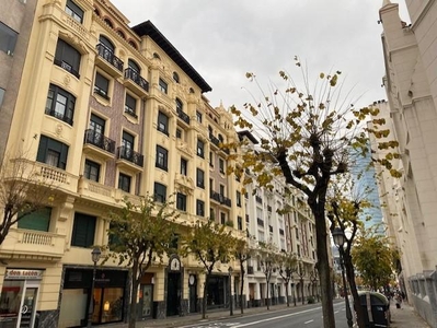 Piso de alquiler en Calle de Elcano, Ensanche - Moyua - Diputación