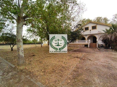 Chalet en Valdetorres de Jarama