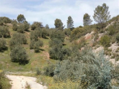 Terreno rústico en venta enpre. la tejera, sierra de segura, 5,hornos de segura,jaén