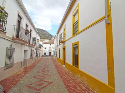 Casas de pueblo en Cortes de la Frontera