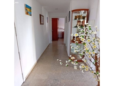 Apartamento en alquiler en la Estación