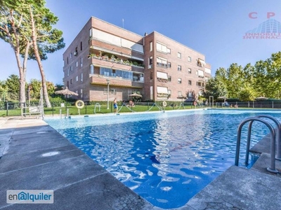 Magnífico y luminoso piso de 131 m2, 3 habitaciones y terraza, situado en urbanización cerrada.